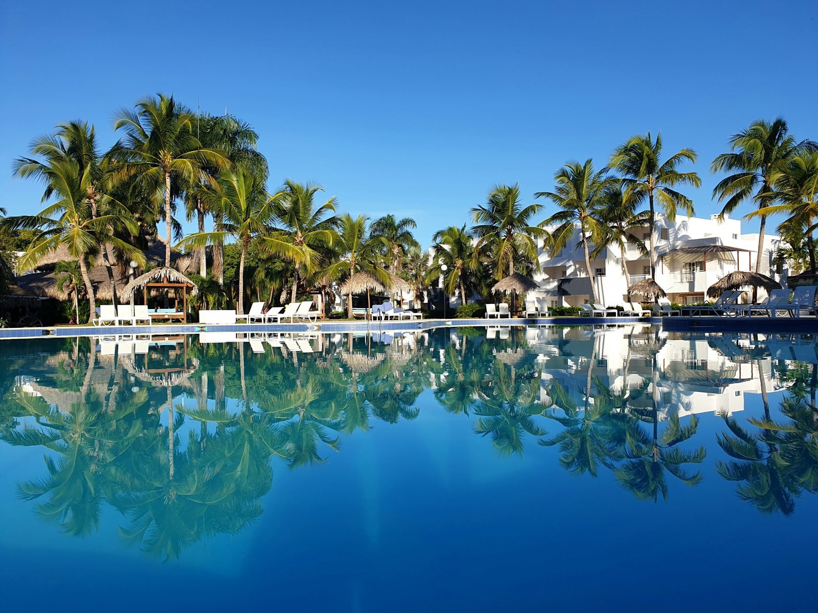 a large swimming pool surrounded by palm trees