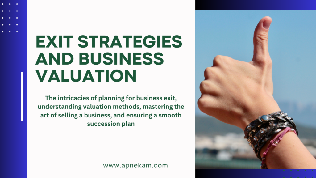 Exit Strategies and Business Valuation