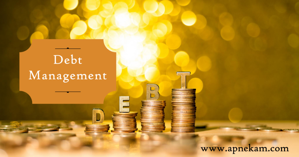 What is Debt Management?