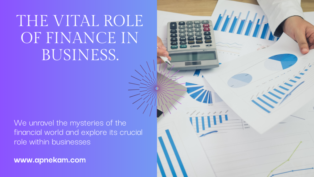 The Vital Role of Finance in Businesses